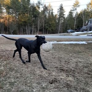 Meet your Posher, Stacey